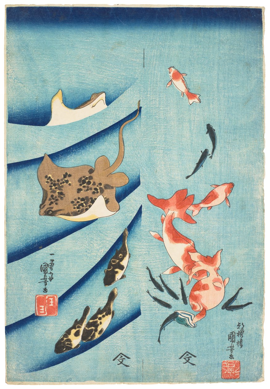 金鱼、鳉鱼、魟鱼和河豚，约 1837 年（木刻版画） 作者 歌川国义