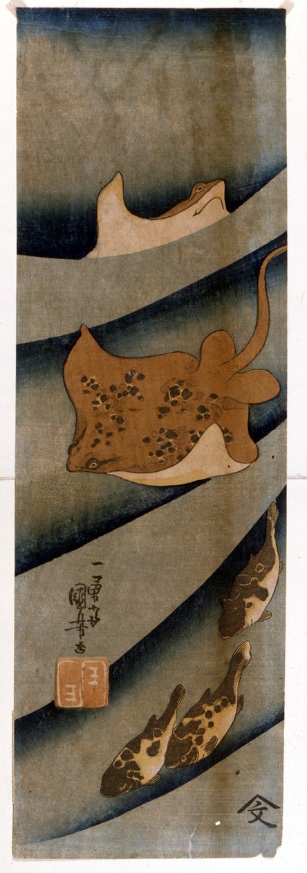 歌川国吉（1797-1861）描绘鱼的版画。 作者 歌川国义