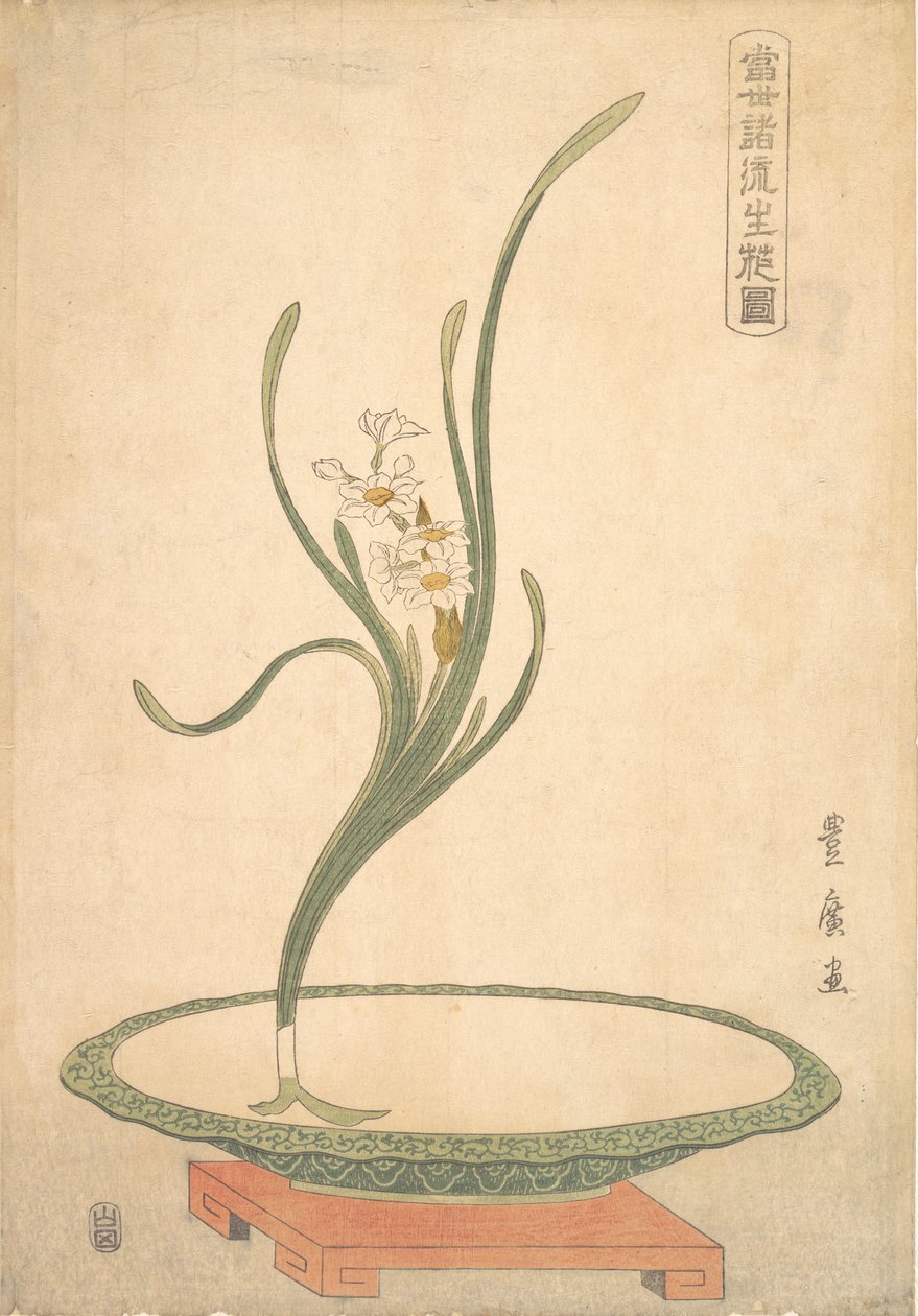水仙花插在一个扁平的绿色盘子里。 作者 歌川丰洋