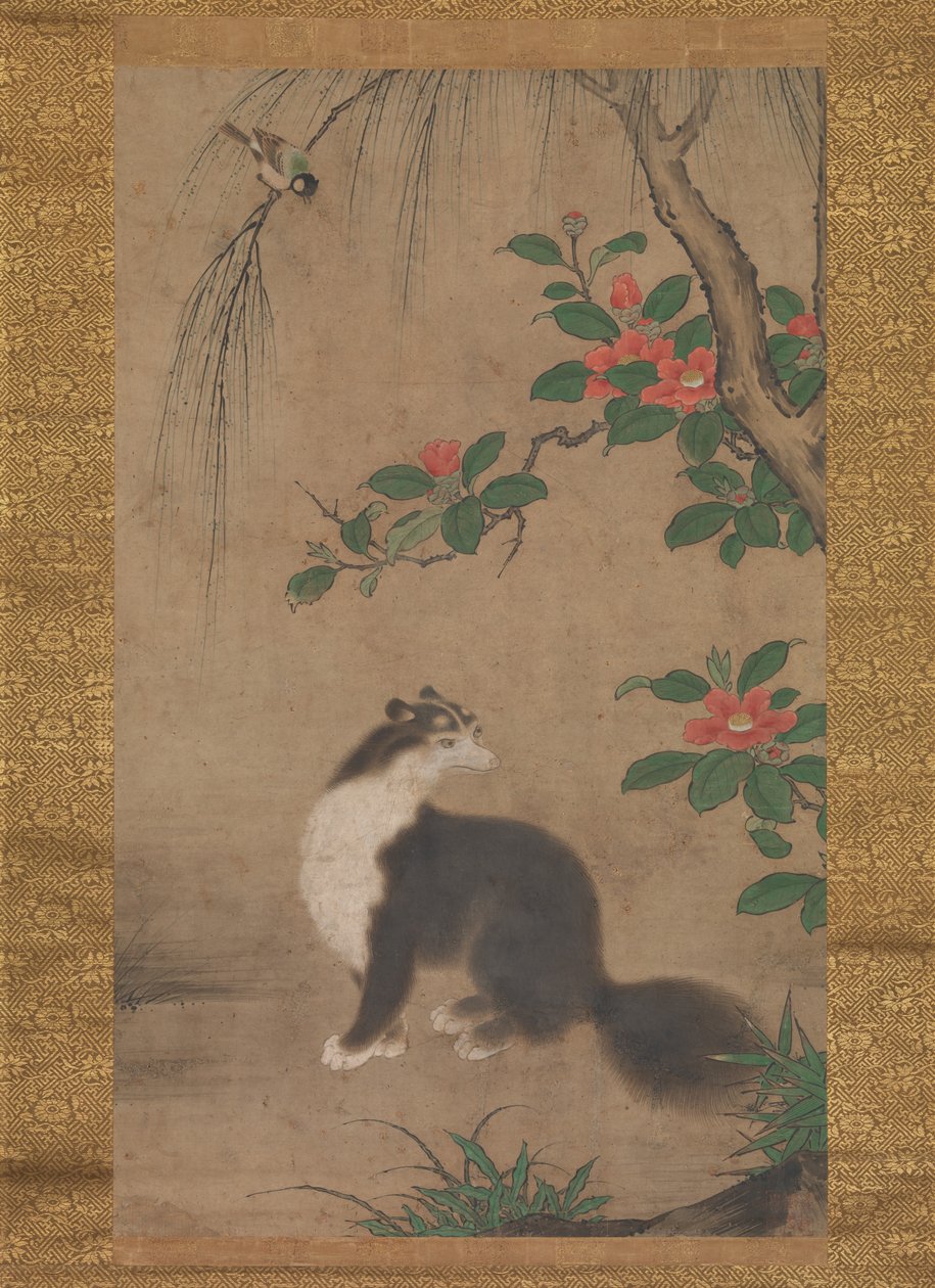 麝香猫，16世纪下半叶。 作者 宇藤行