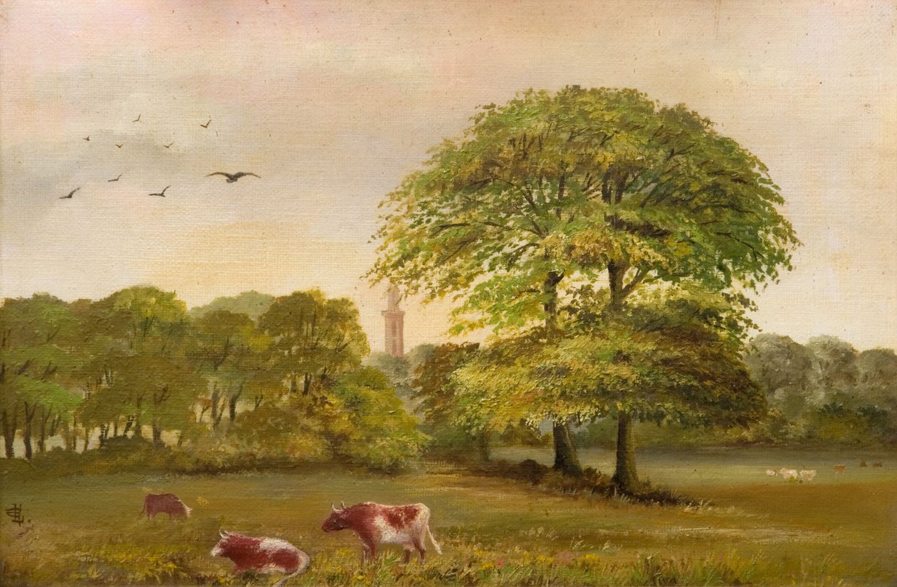 Tower Edgbaston泵站，1894年。 作者 谷