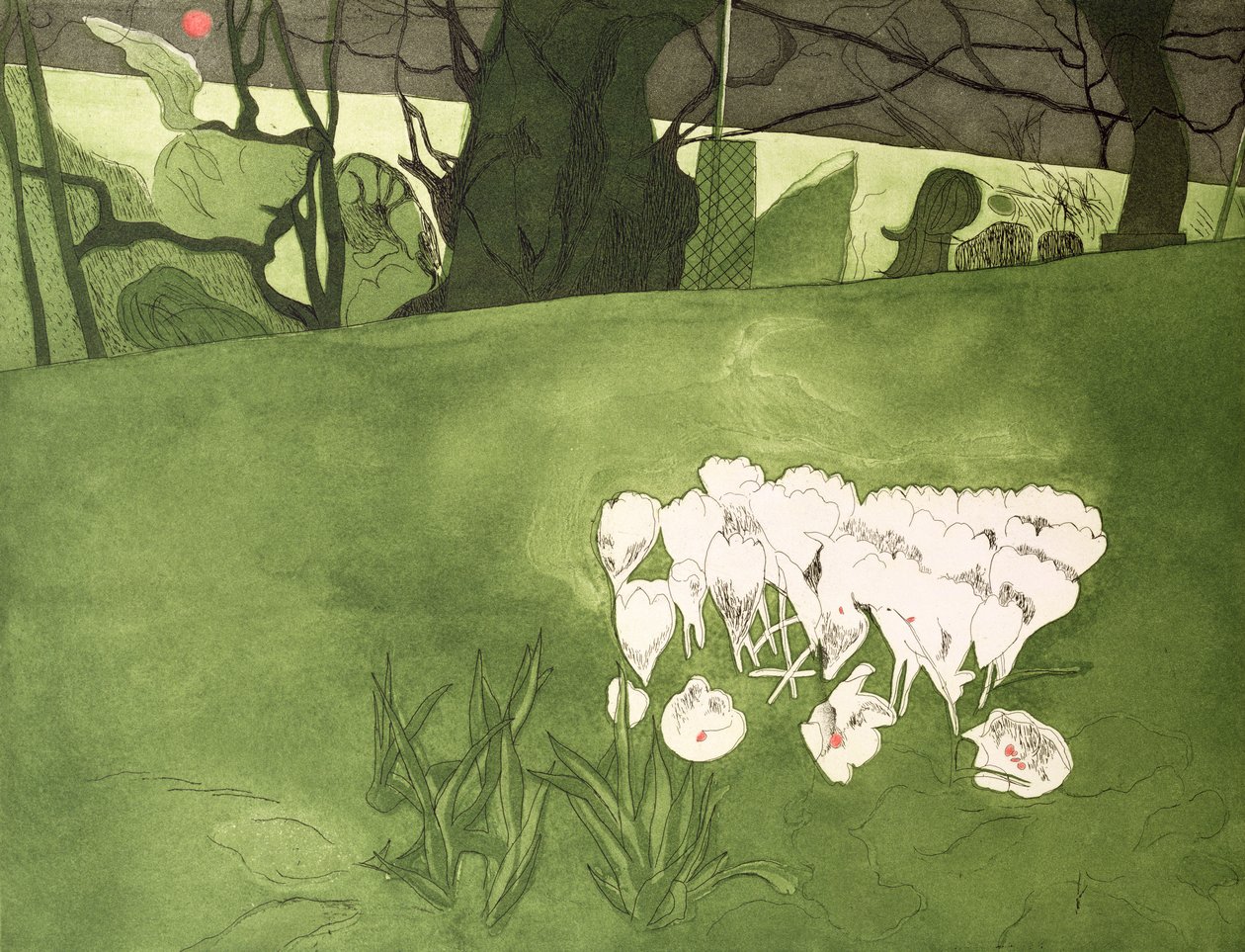 番红花（打印） 作者 瓦莱丽·丹尼尔（Valerie Daniel）