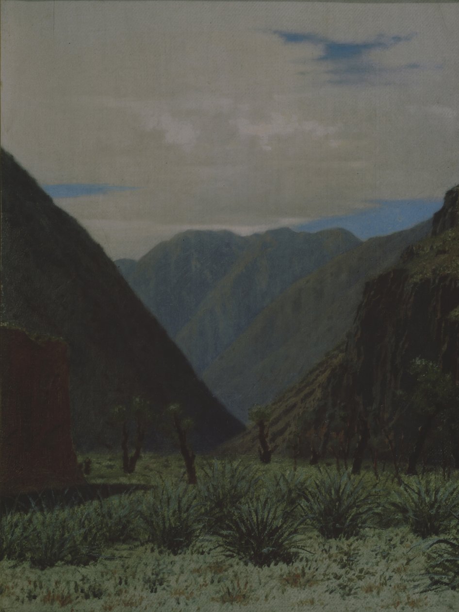 巴斯卡恩山口 作者 瓦西里·瓦西里耶维奇（Vasili Vasilievich Vereshchagin）