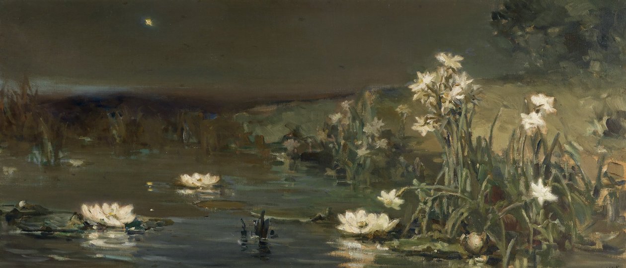 夜晚之星 作者 瓦西里·科塔宾斯基