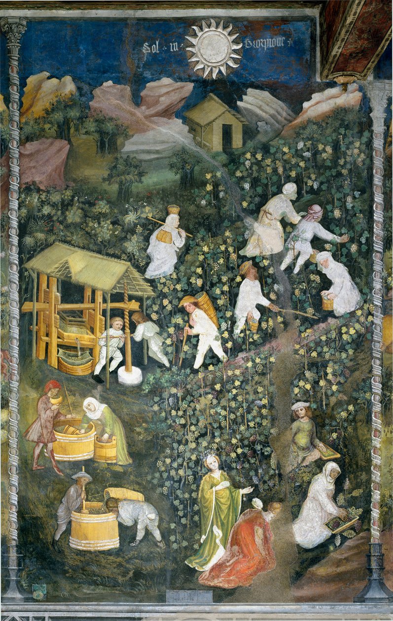 十月：采摘现场，采摘葡萄，准备酒酿（压酒）。 月之大师或瓦茨拉夫大师（意大利语中的 Maestro dei Mesi 或 Maestro Wenceslao，15 世纪初）的绘画由 Marcello Fogolino 修复 作者 文斯劳艺术大师