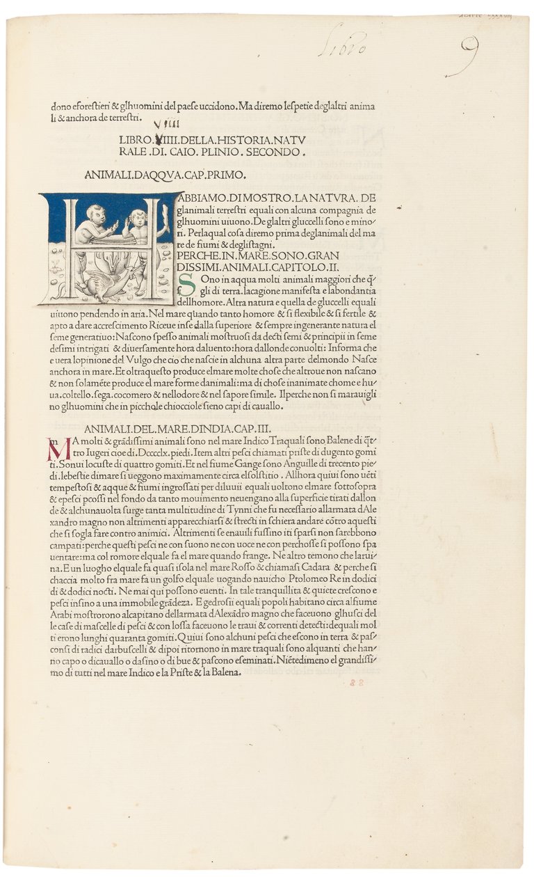 普林尼（Pliny）的《自然史》（Historia Naturalis） 作者 威尼斯人学校