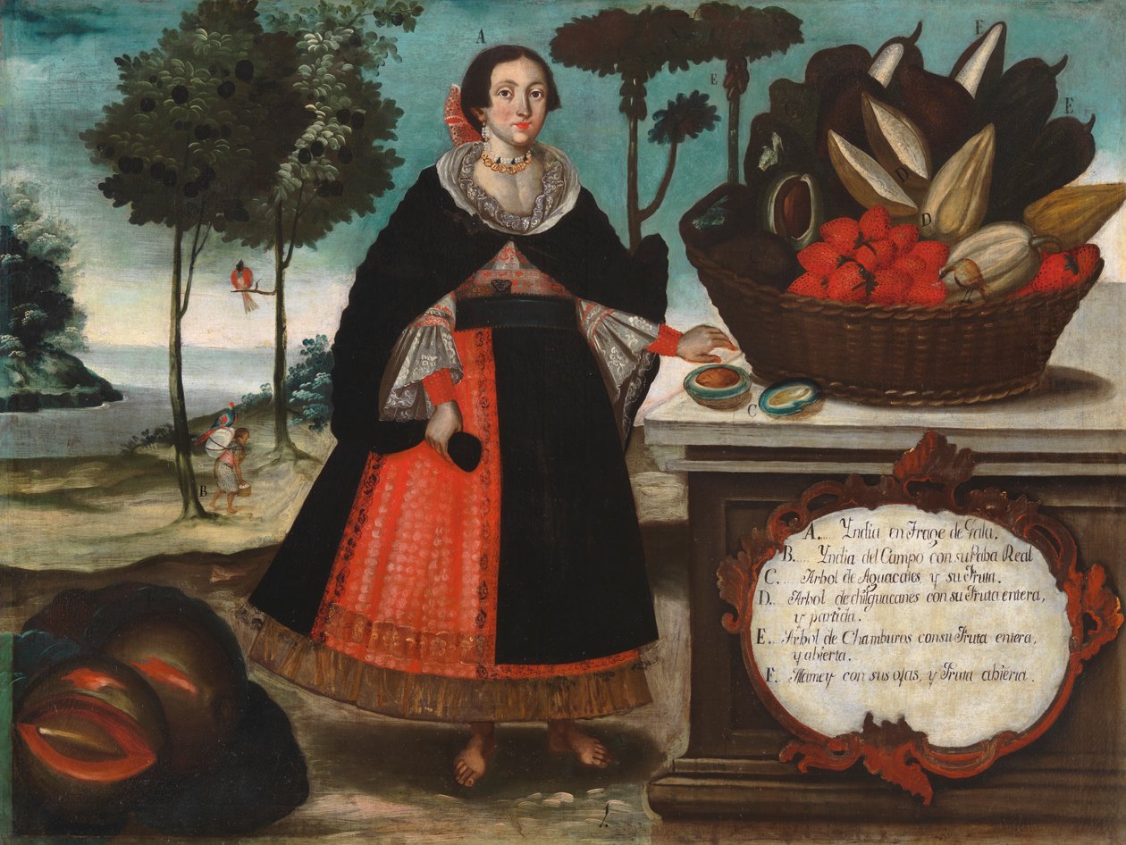 特别服装的印度妇女，c.1783 作者 维森特·奥尔本（Vicente Alban）