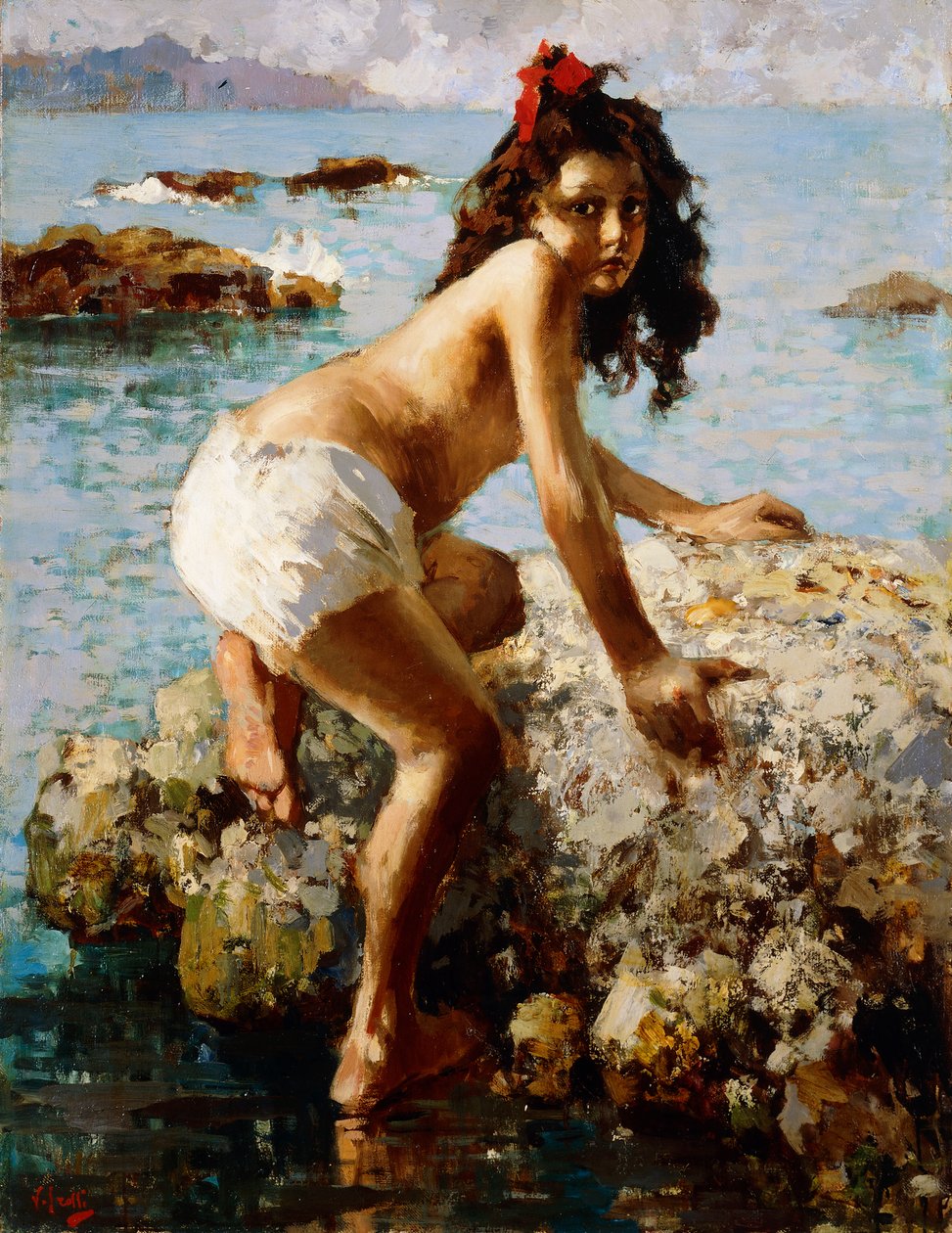 岩石上的女孩 作者 Vicenzo Irolli