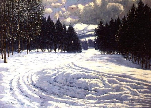 雪橇清理中的雪橇轨道 作者 维克多·奥尔加（Victor Olgyai）