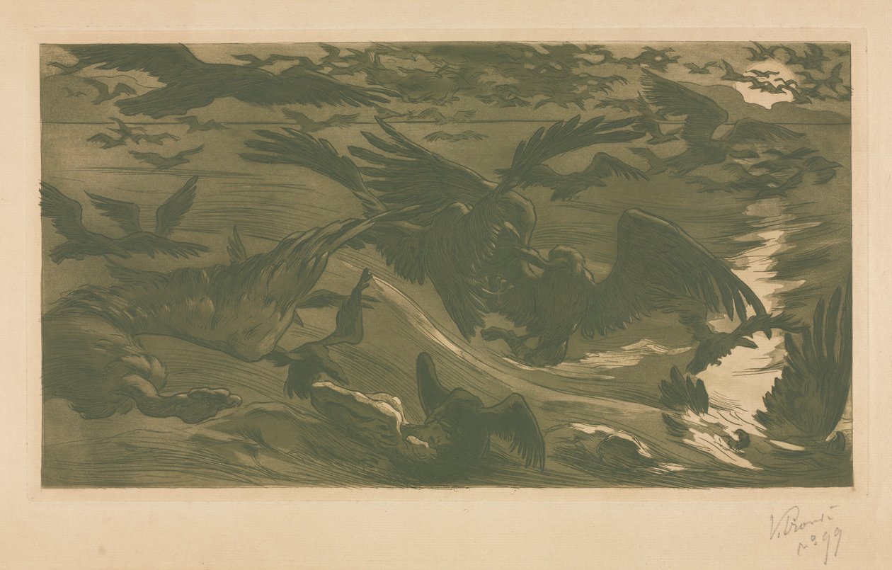 猛禽，1893年。 作者 Victor Emile证明