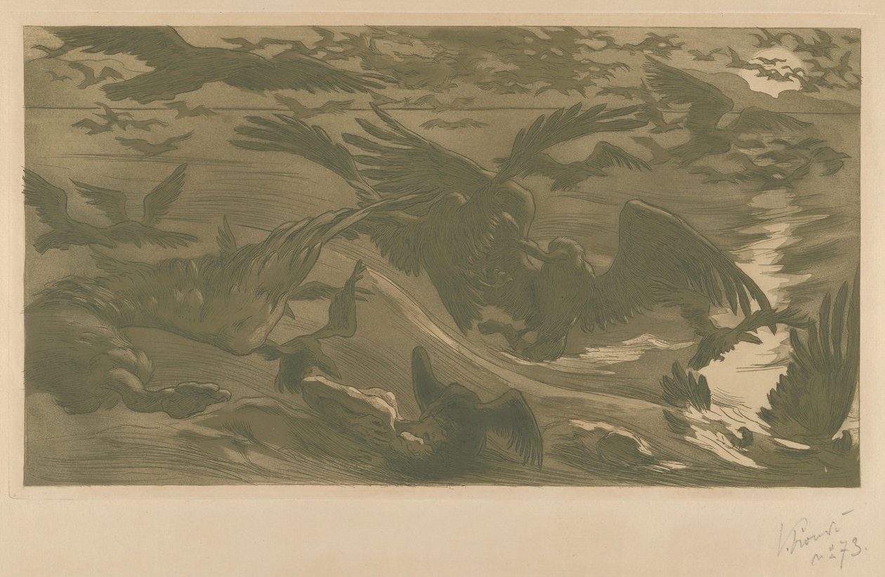 鸷鸟，1893年。 作者 维克多·普鲁韦