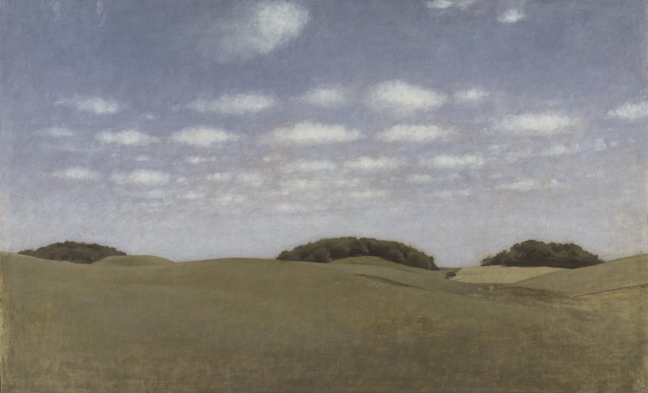 1905年Lejre的风景 作者 威廉·哈默肖伊
