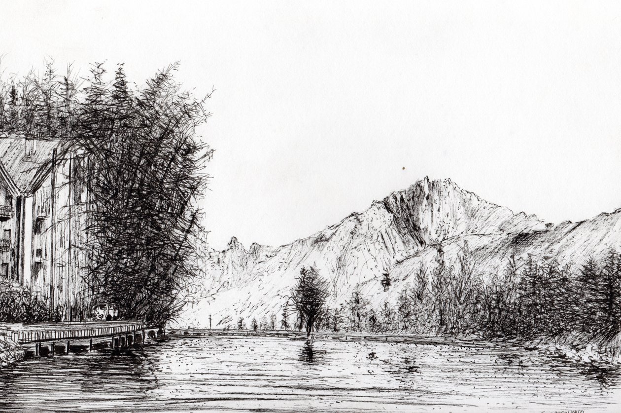 Crans Switzerland，2009，（纸上墨水） 作者 文森特·亚历山大·布斯