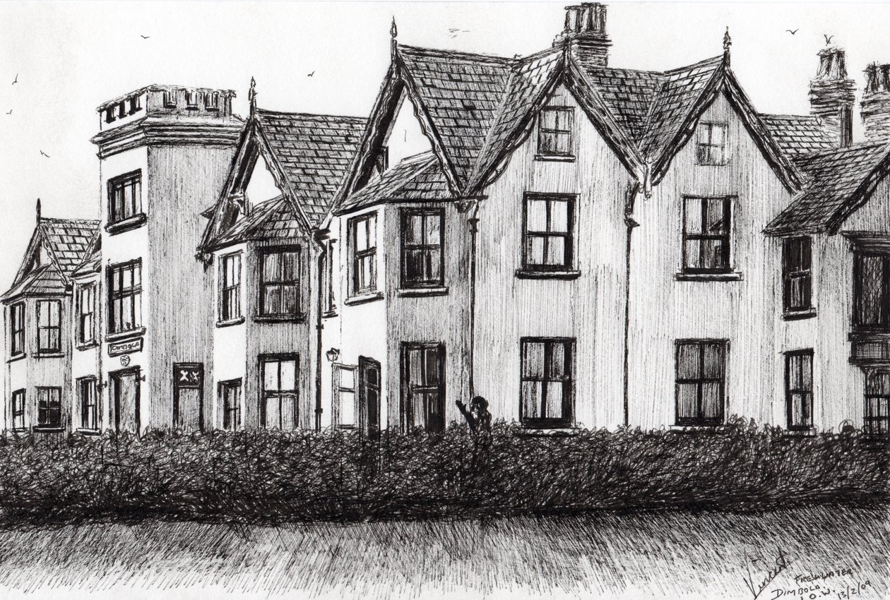 Dimbola Lodge IOW，2009，（墨水在纸上） 作者 文森特·亚历山大·布斯