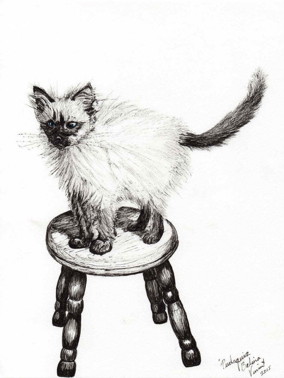 Pudsquiz Belina，2015，（纸上墨水） 作者 文森特·亚历山大·布斯