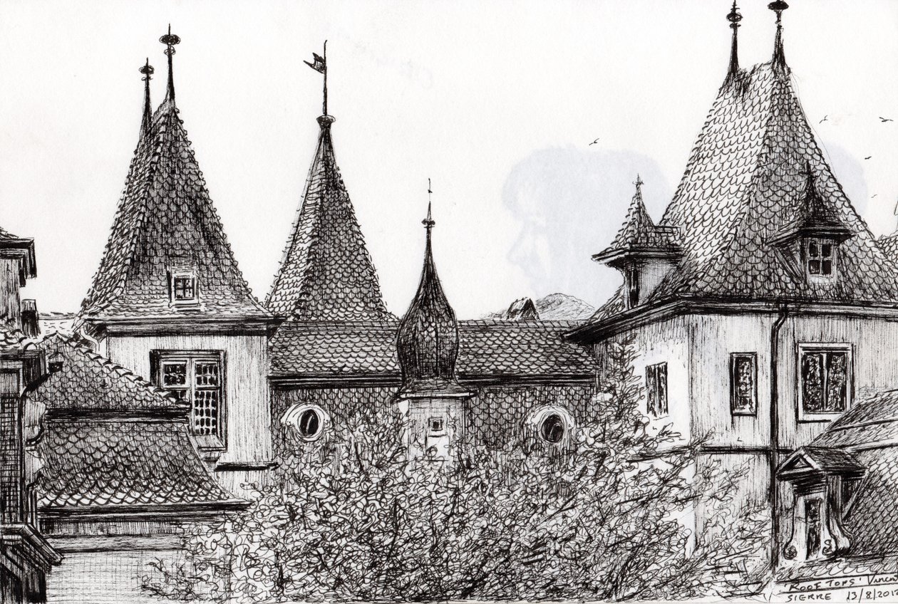 Sierre Rooftops Switzerland，2012，（墨水论文） 作者 文森特·亚历山大·布斯