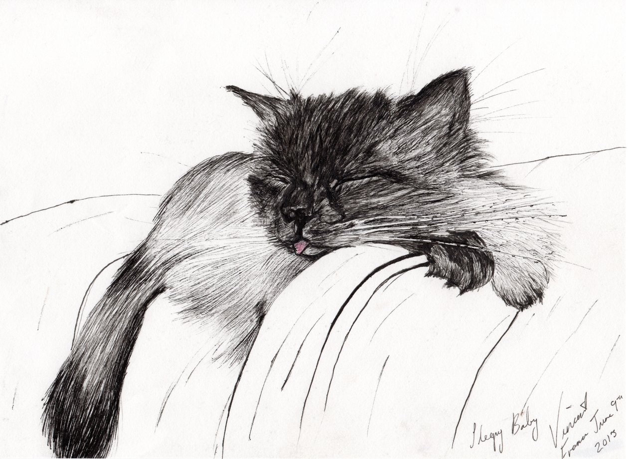 Sleepy Baby，2013，（墨水在纸上） 作者 文森特·亚历山大·布斯