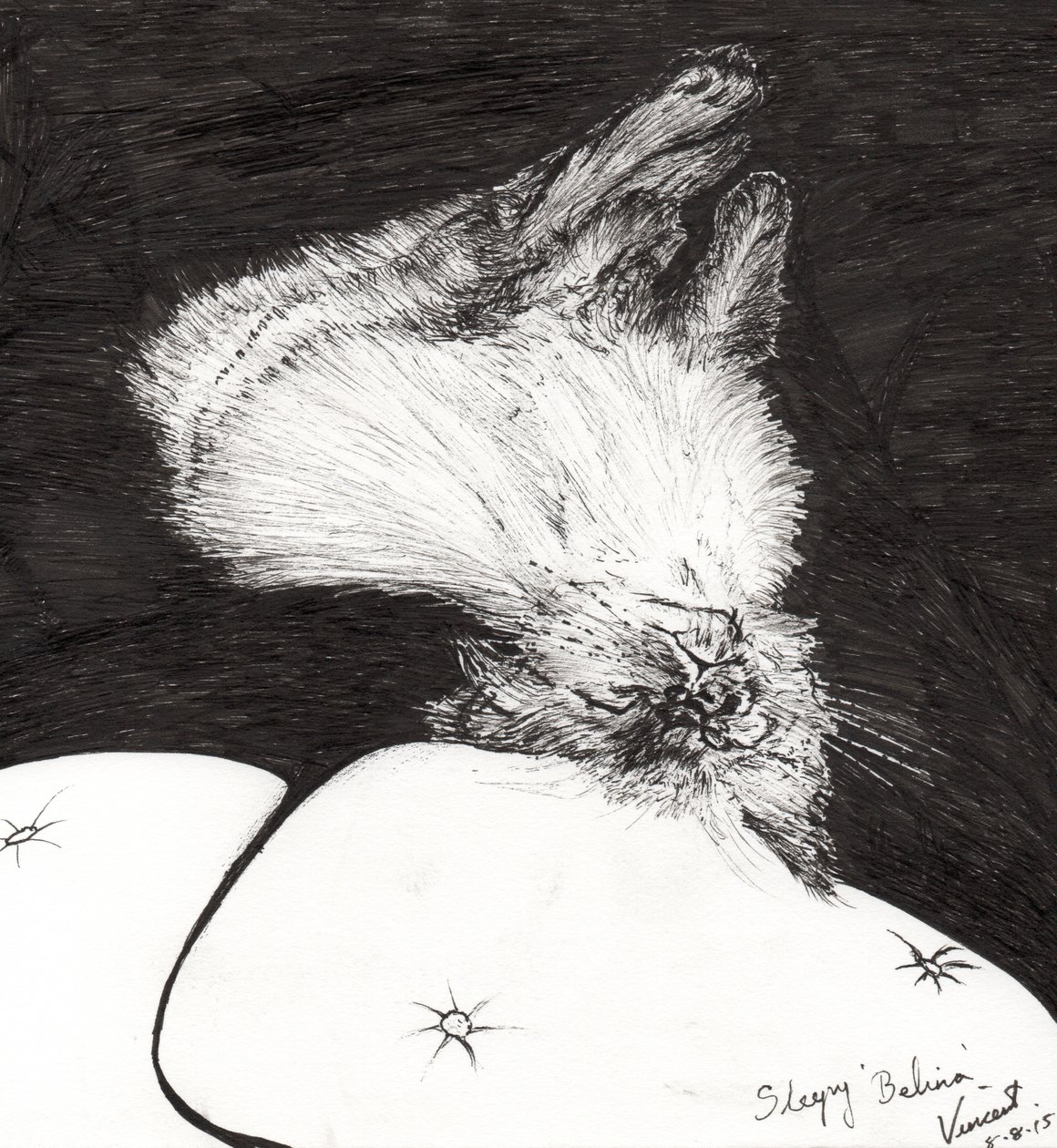 Sleepy Belina，2015，（纸上墨水） 作者 文森特·亚历山大·布斯