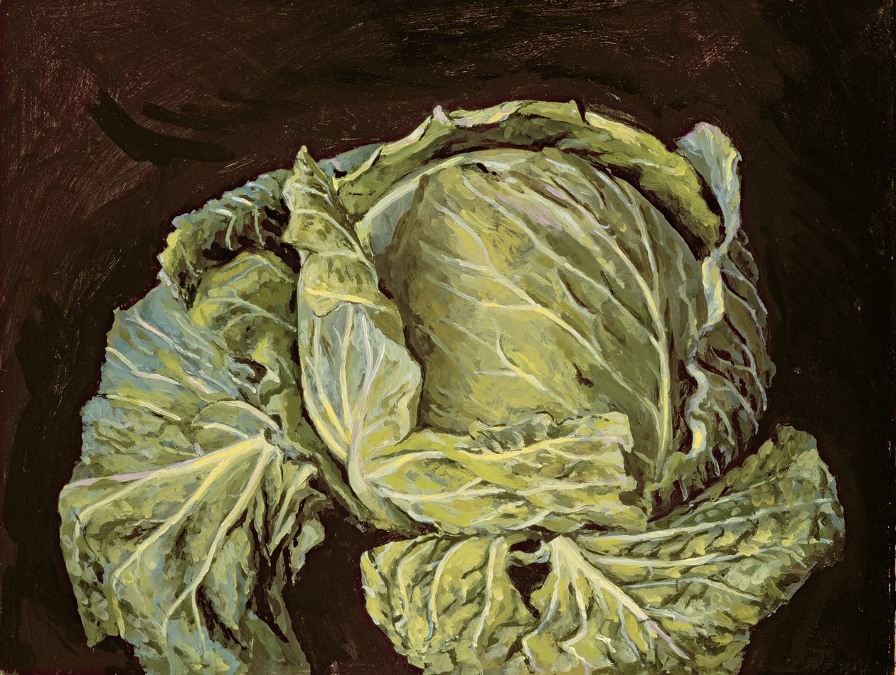 卷心菜静物，2000 作者 文森特·约克