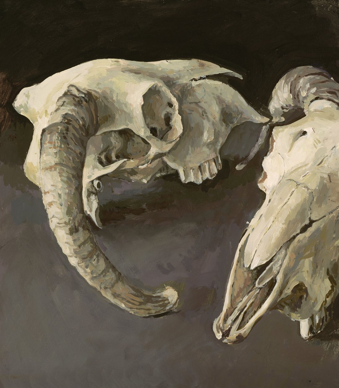 Sheep Skulls，2001 作者 文森特·约克