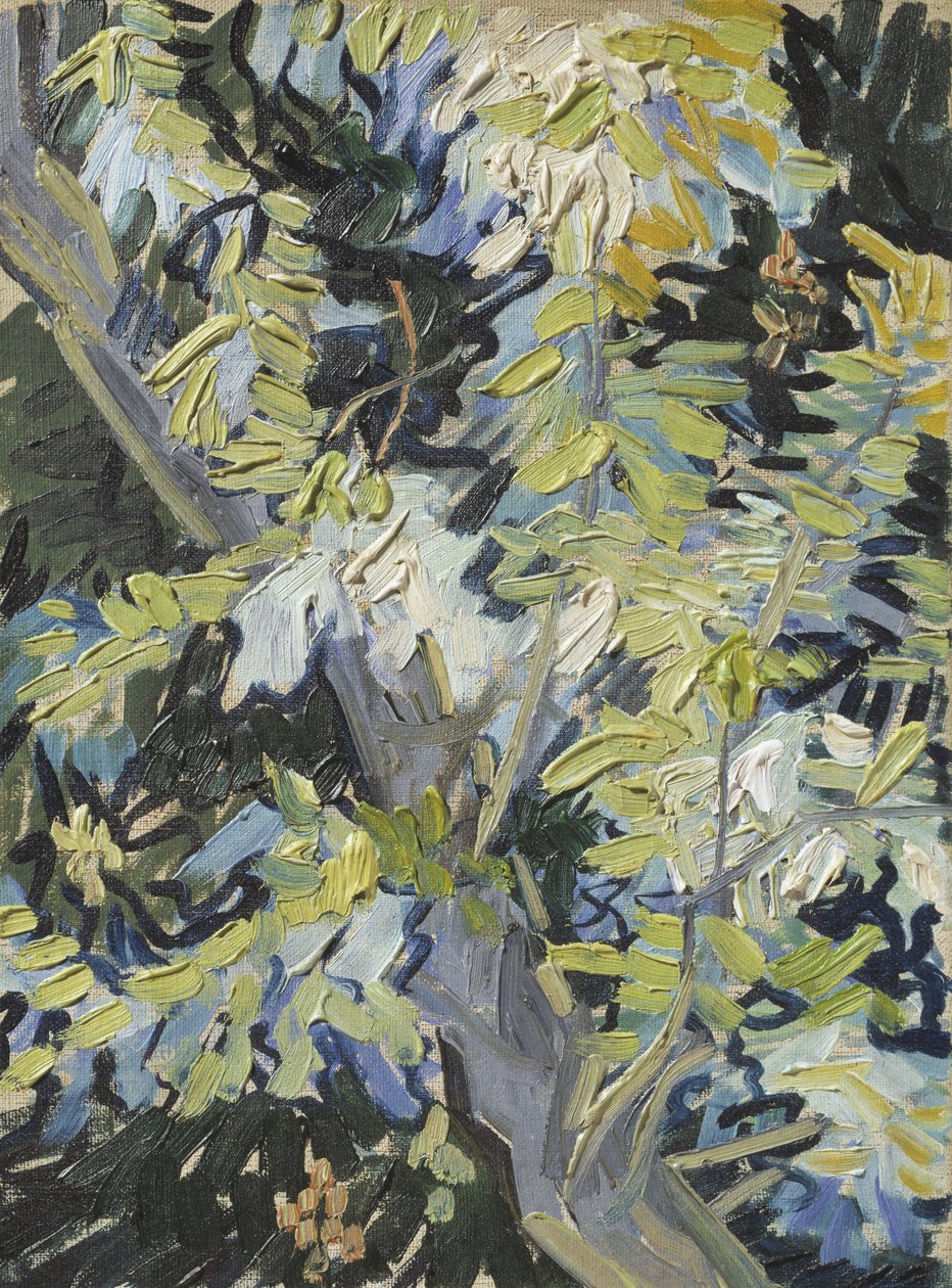 相思花，c.1889 作者 文森特·梵高