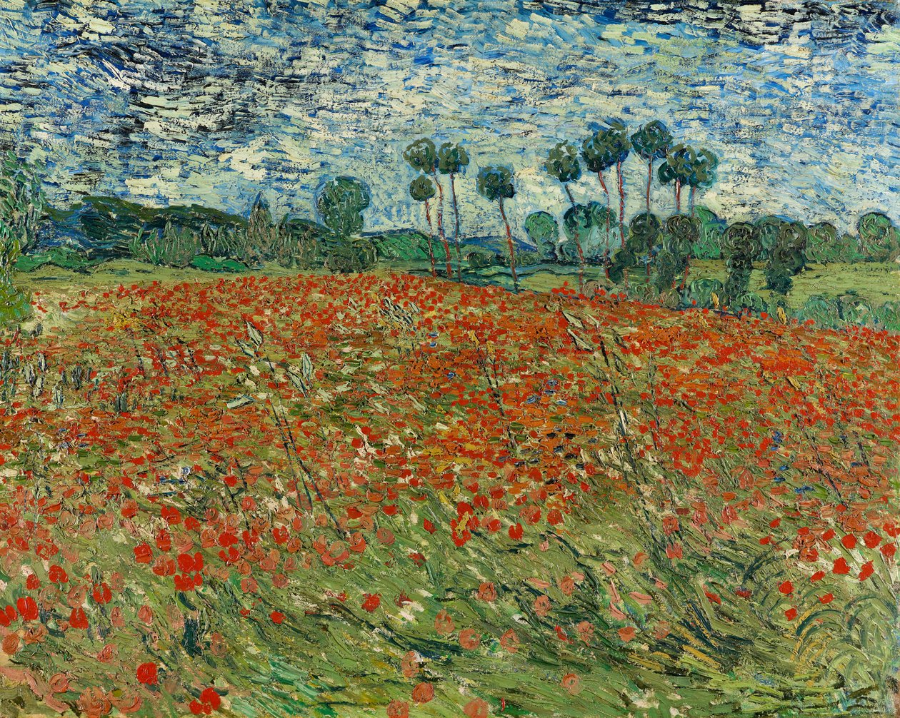 罂粟花领域，Auvers-sur-Oise，1890年 作者 文森特·梵高