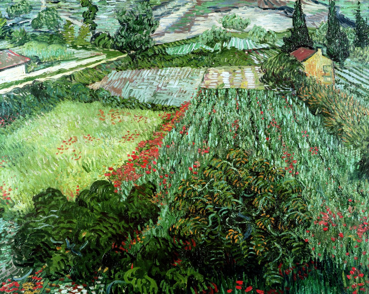 罂粟花田，1889年 作者 文森特·梵高