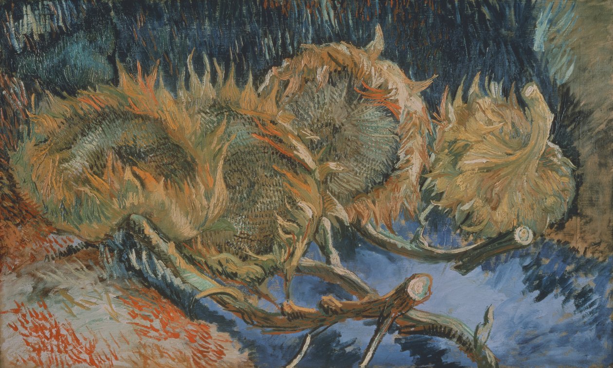 四个枯萎的向日葵，1887年 作者 文森特·梵高