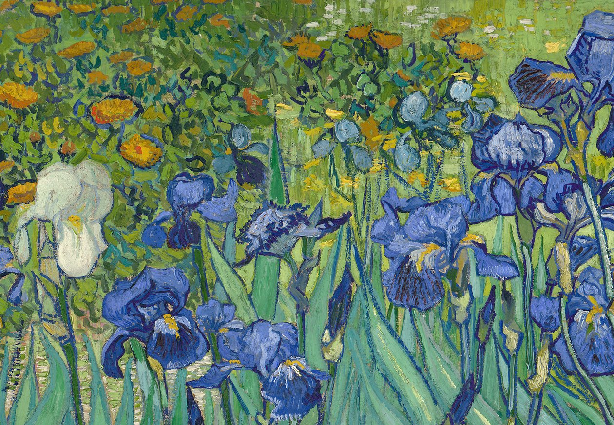鸢尾花，1889年（细节40070） 作者 文森特·梵高