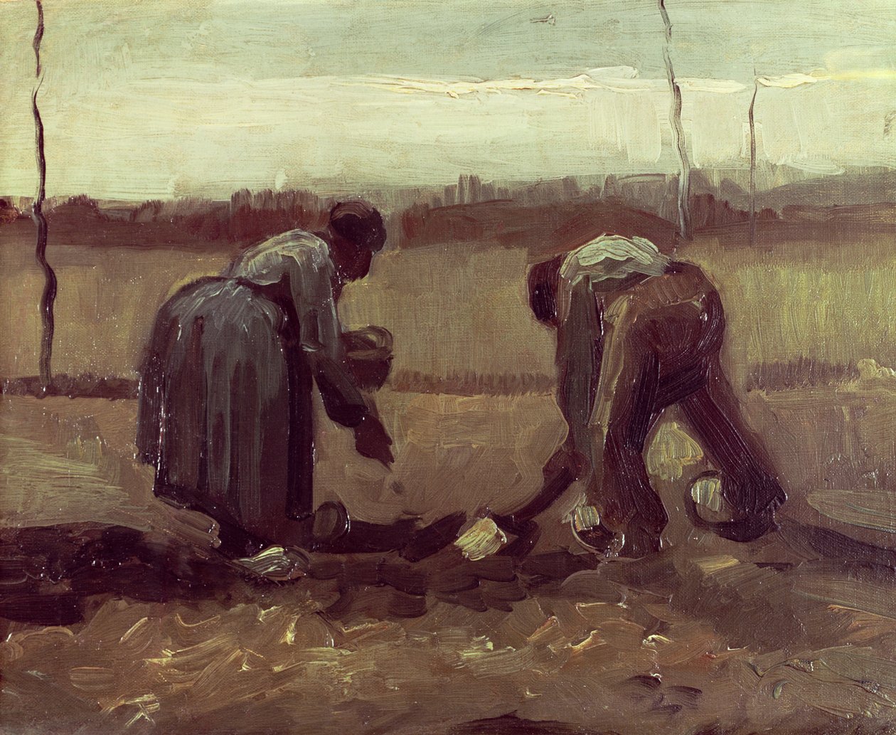 两个农民种植马铃薯，1885年 作者 文森特·梵高