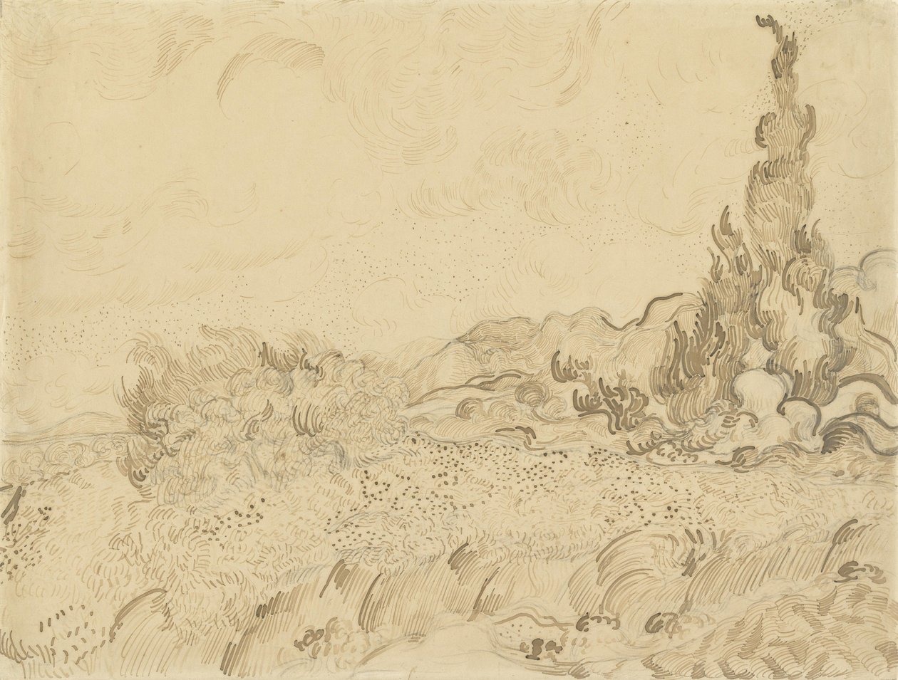 与cypress2的麦田 作者 文森特·梵高