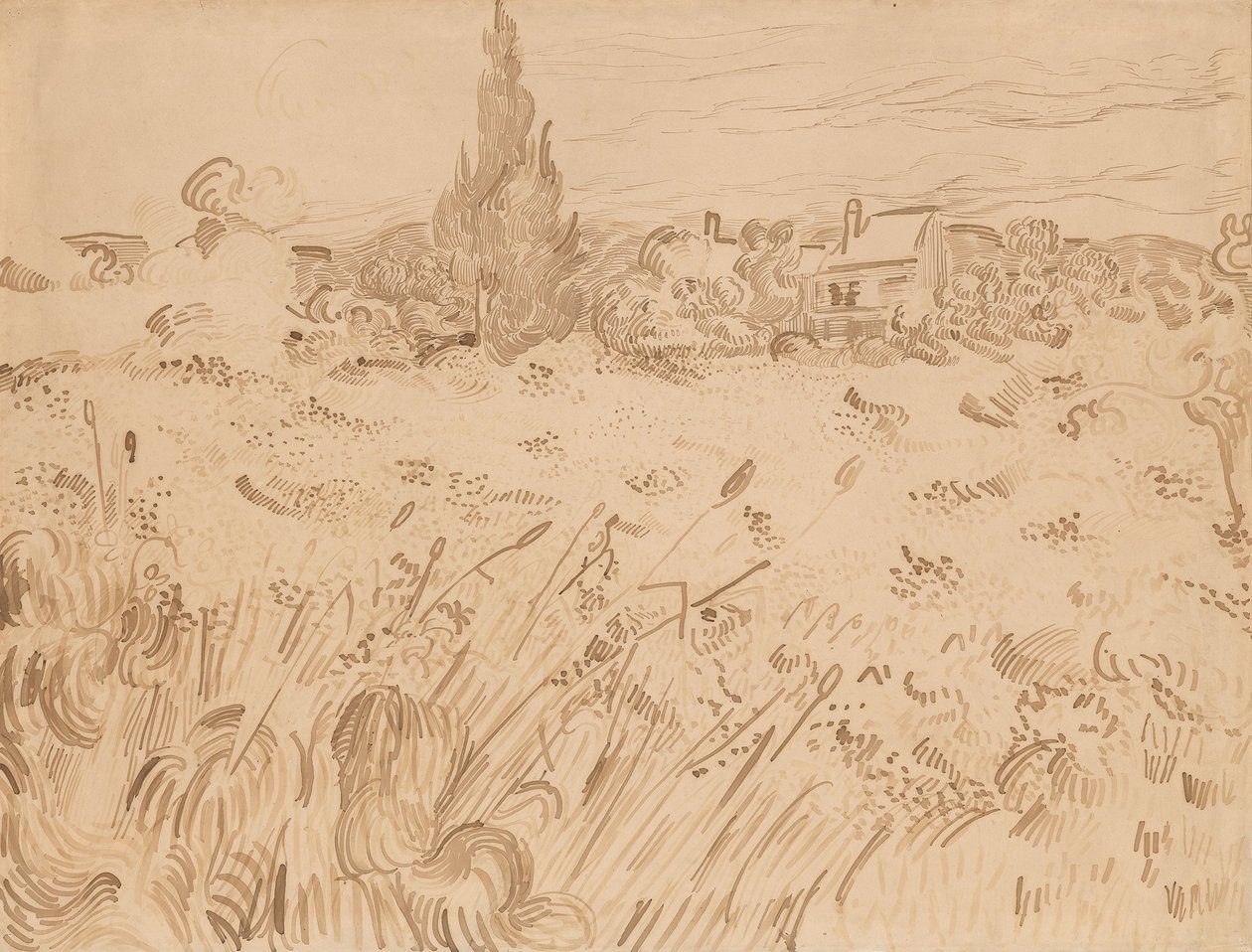 Wheatfield，Saint-Remy de Provence 作者 文森特·梵高