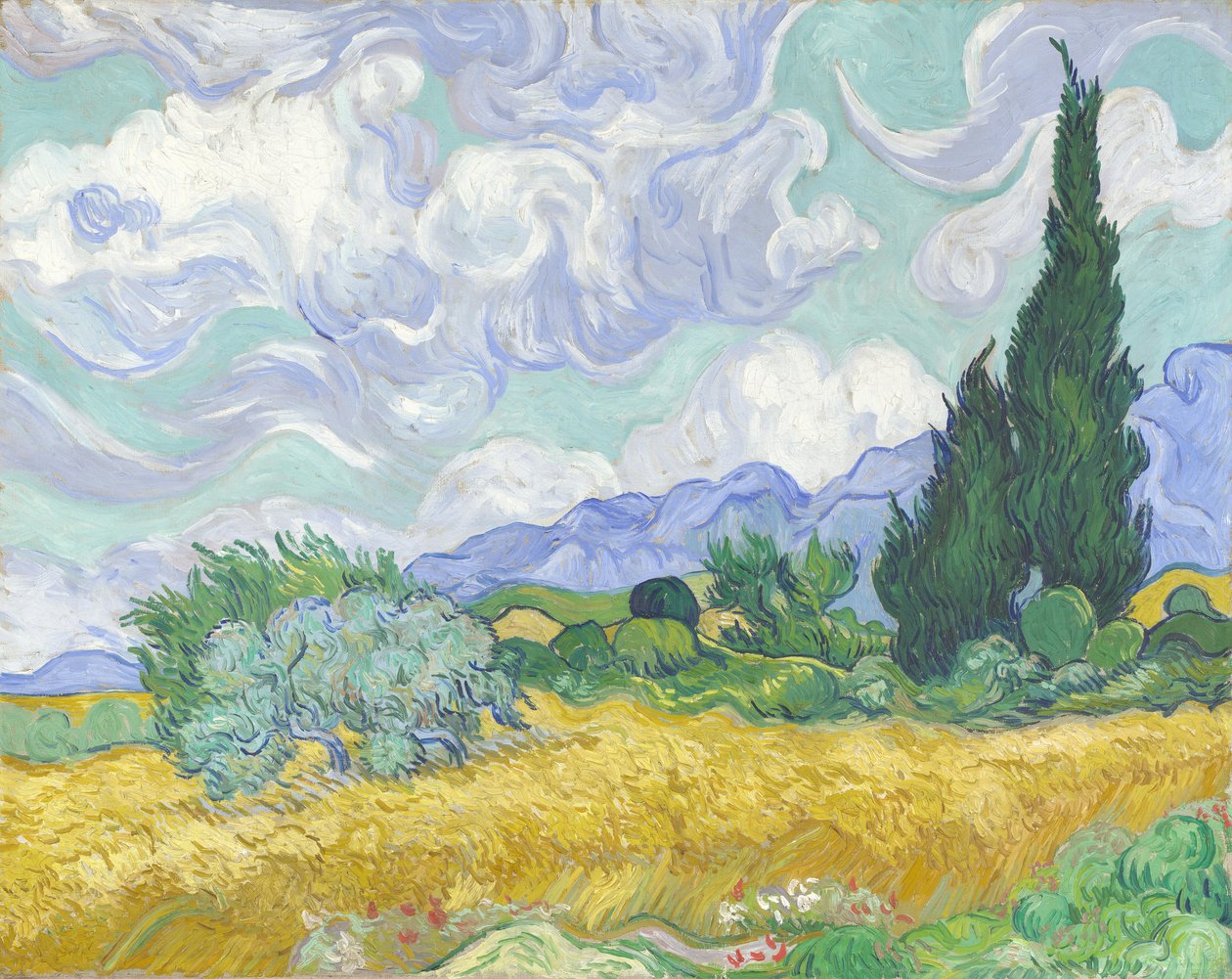 Wheatfield与柏树 作者 文森特·梵高