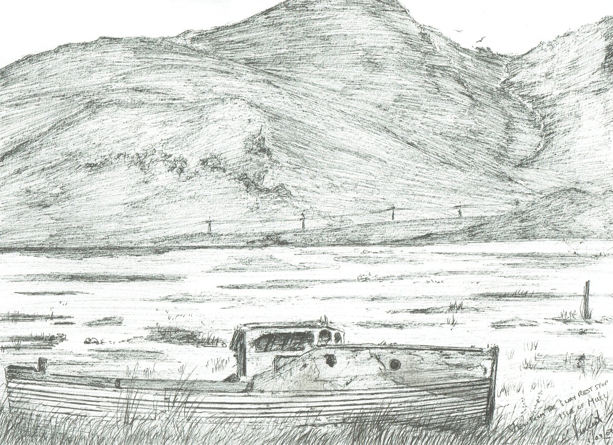 Boat on dry land,Isle of Mull, 2007 作者 文森特·亚历山大·布斯