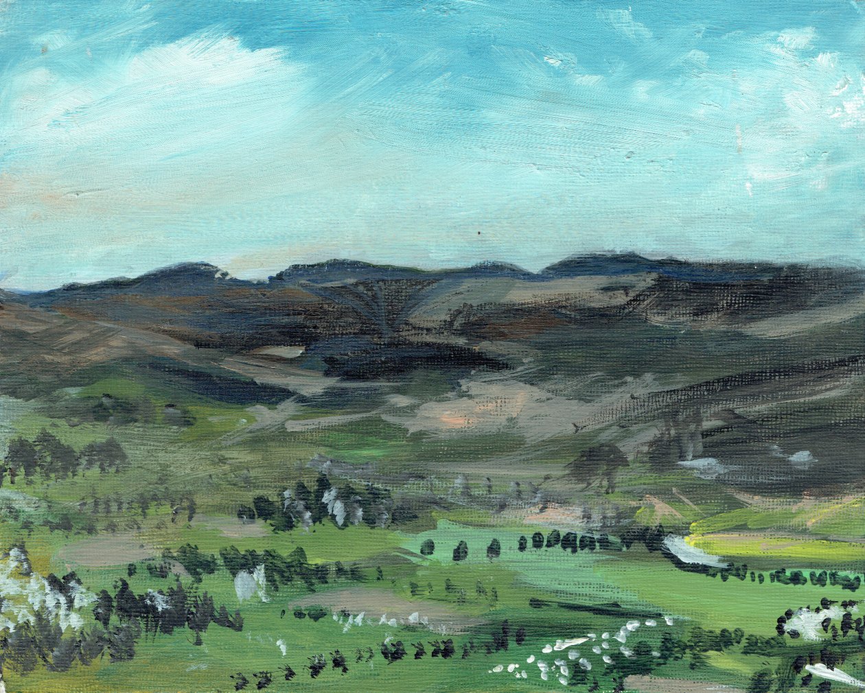 来自Creag Dhubh的Cairngorms，2006，（帆布板上的丙烯酸树脂） 作者 文森特·亚历山大·布斯