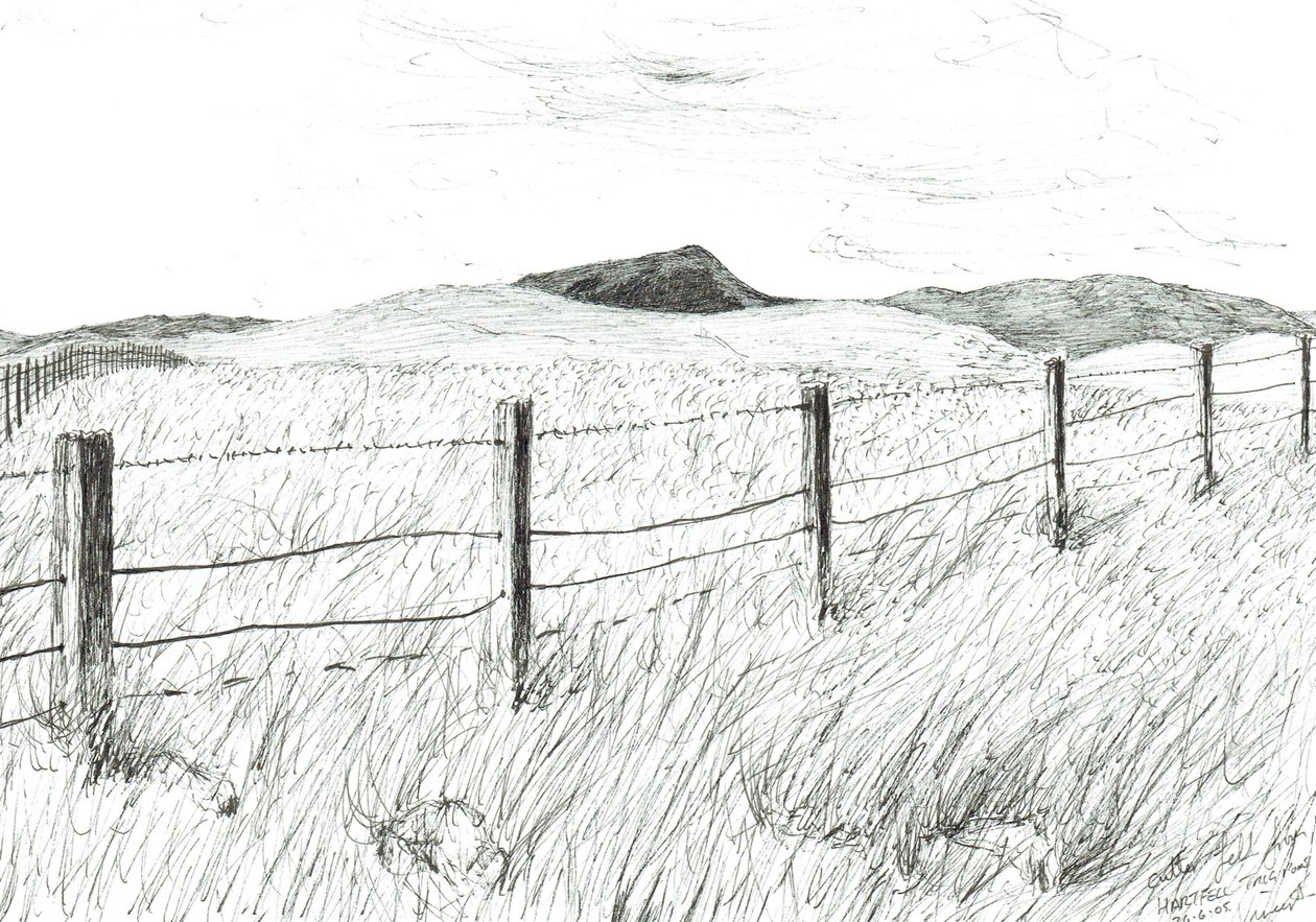 Culter Fell from Hartfell, 2005 作者 文森特·亚历山大·布斯