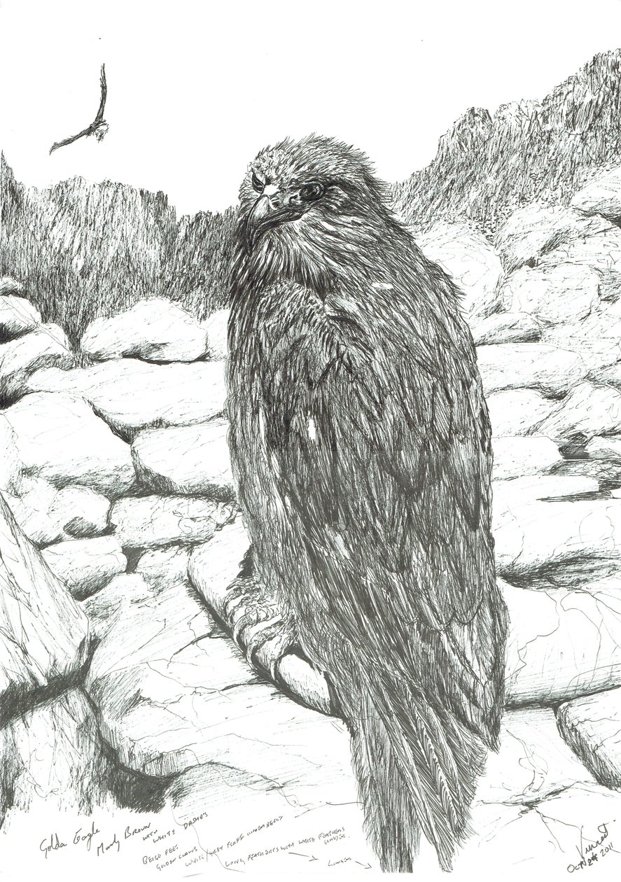 Eagles of the Highlands, 2011 作者 文森特·亚历山大·布斯