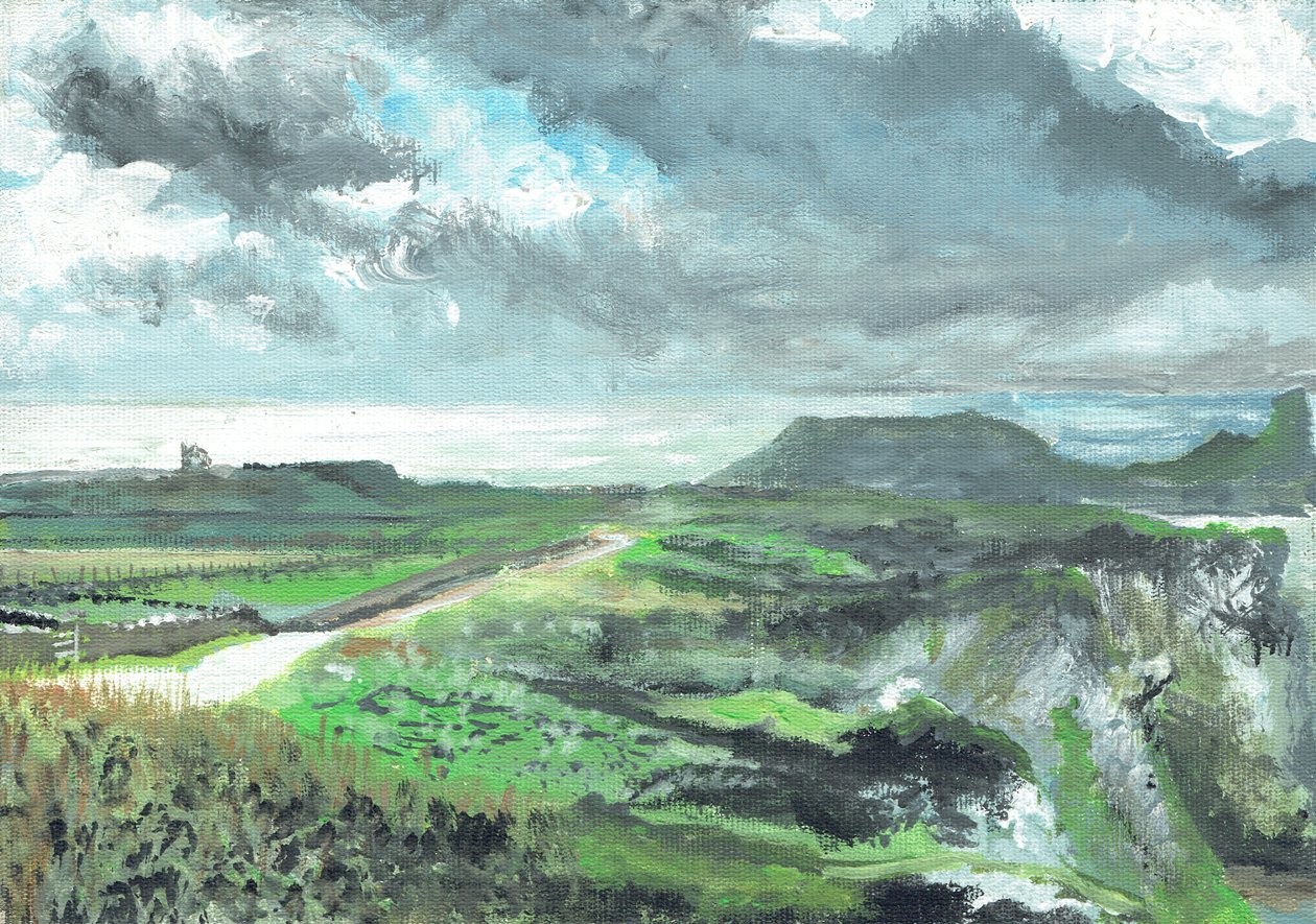 Gower Point，1991，（丙烯酸帆布板） 作者 文森特·亚历山大·布斯