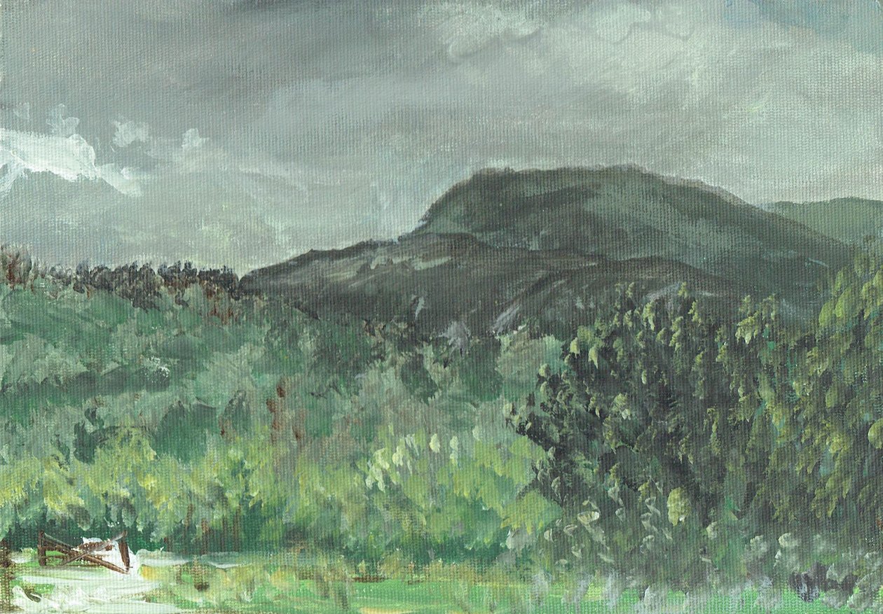 Creag Dugh 的山丘，2006 作者 文森特·亚历山大·布斯