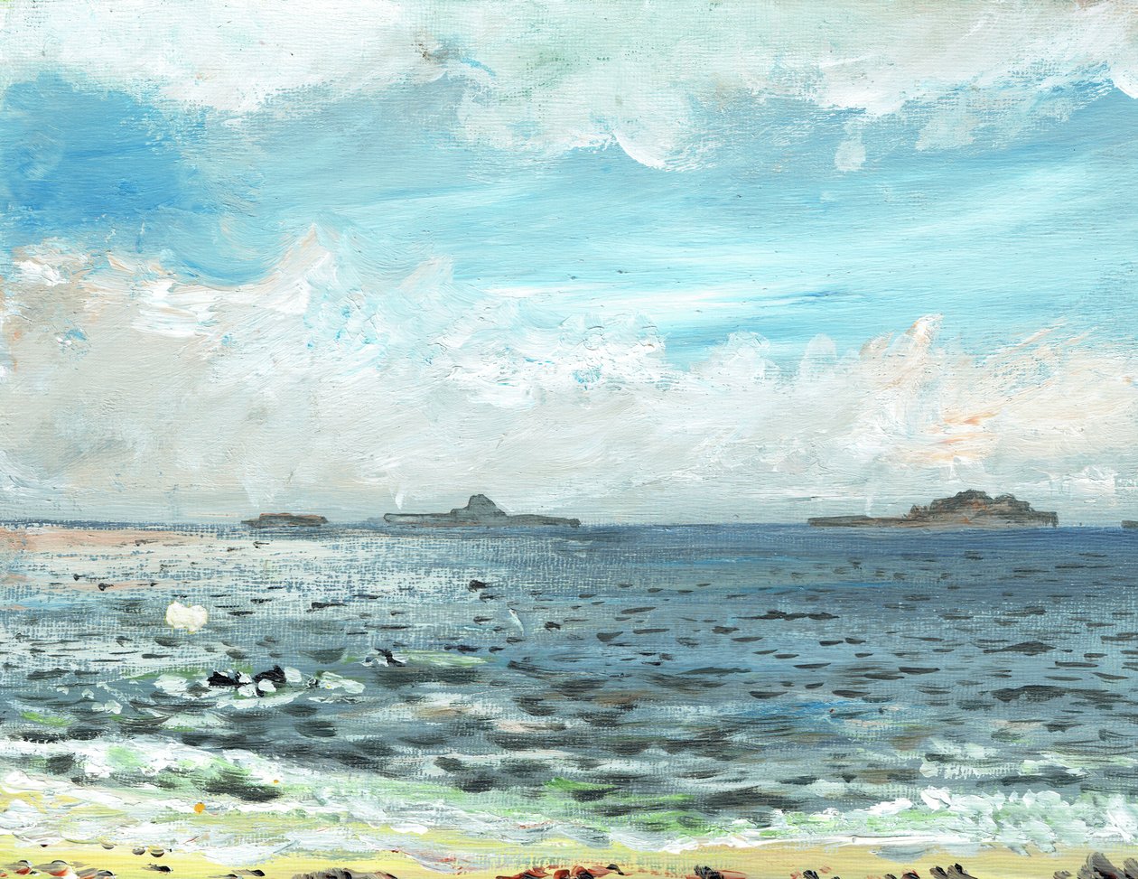 爱奥那海滩，2007年，（帆布板上的丙烯酸） 作者 文森特·亚历山大·布斯