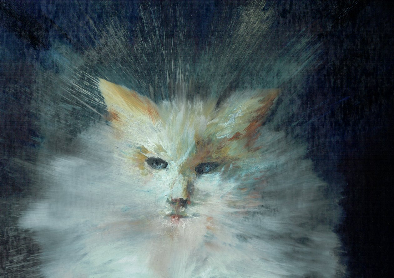 Monty fluffball，2015，（油画布板） 作者 文森特·亚历山大·布斯