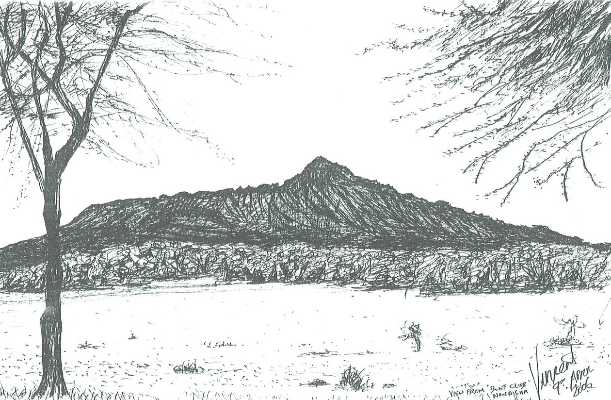 Mountain from boat club at lake Naivasha, Kenya; 2006 作者 文森特·亚历山大·布斯