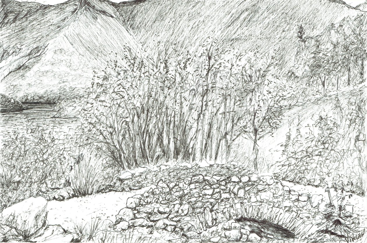 Old stone bridge in the lake district, 2005 作者 文森特·亚历山大·布斯