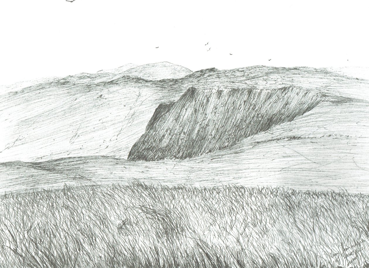 Slopes of Hartfell, 2003 作者 文森特·亚历山大·布斯