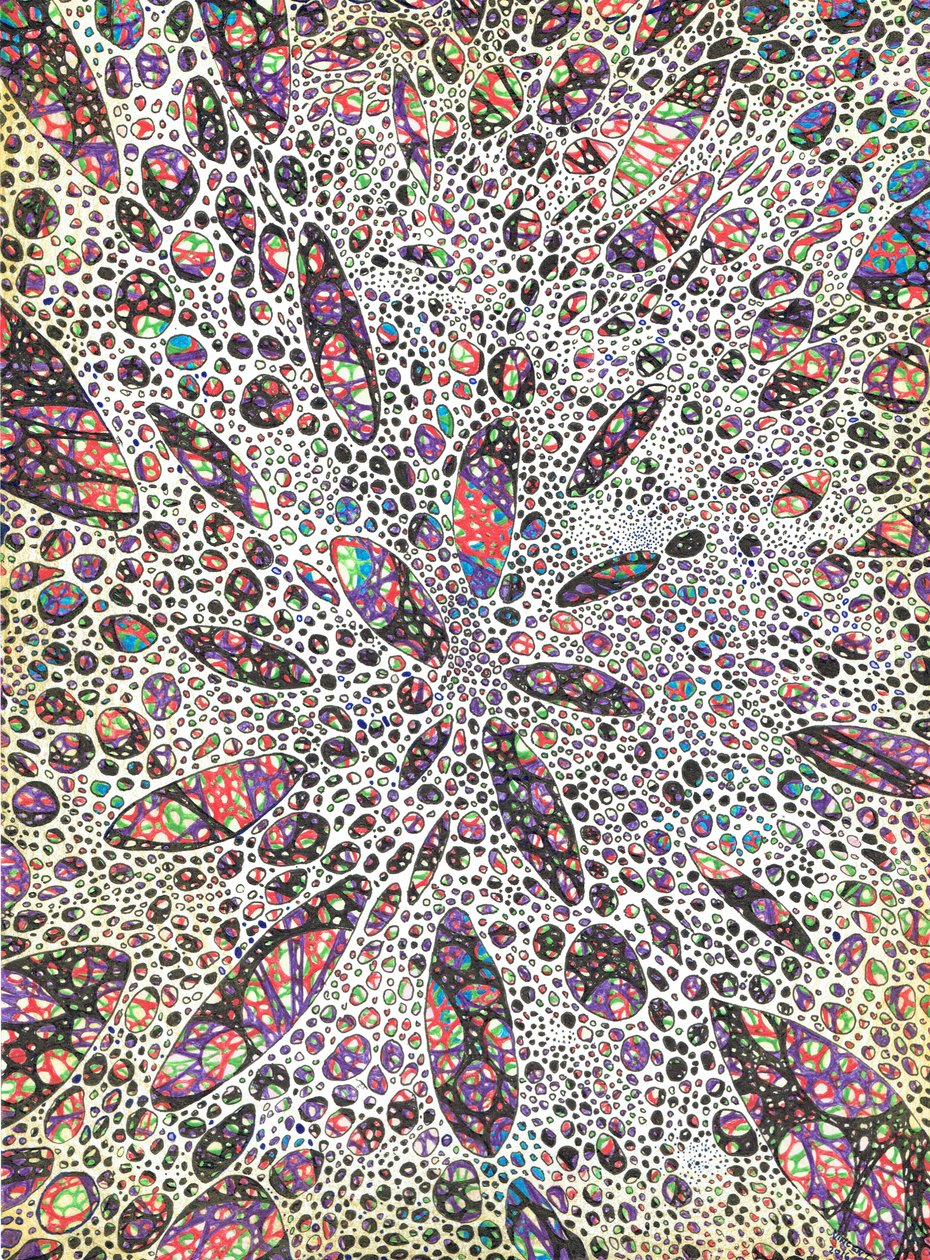 明星诞生了Color，2016年，（纸上墨水） 作者 文森特·亚历山大·布斯