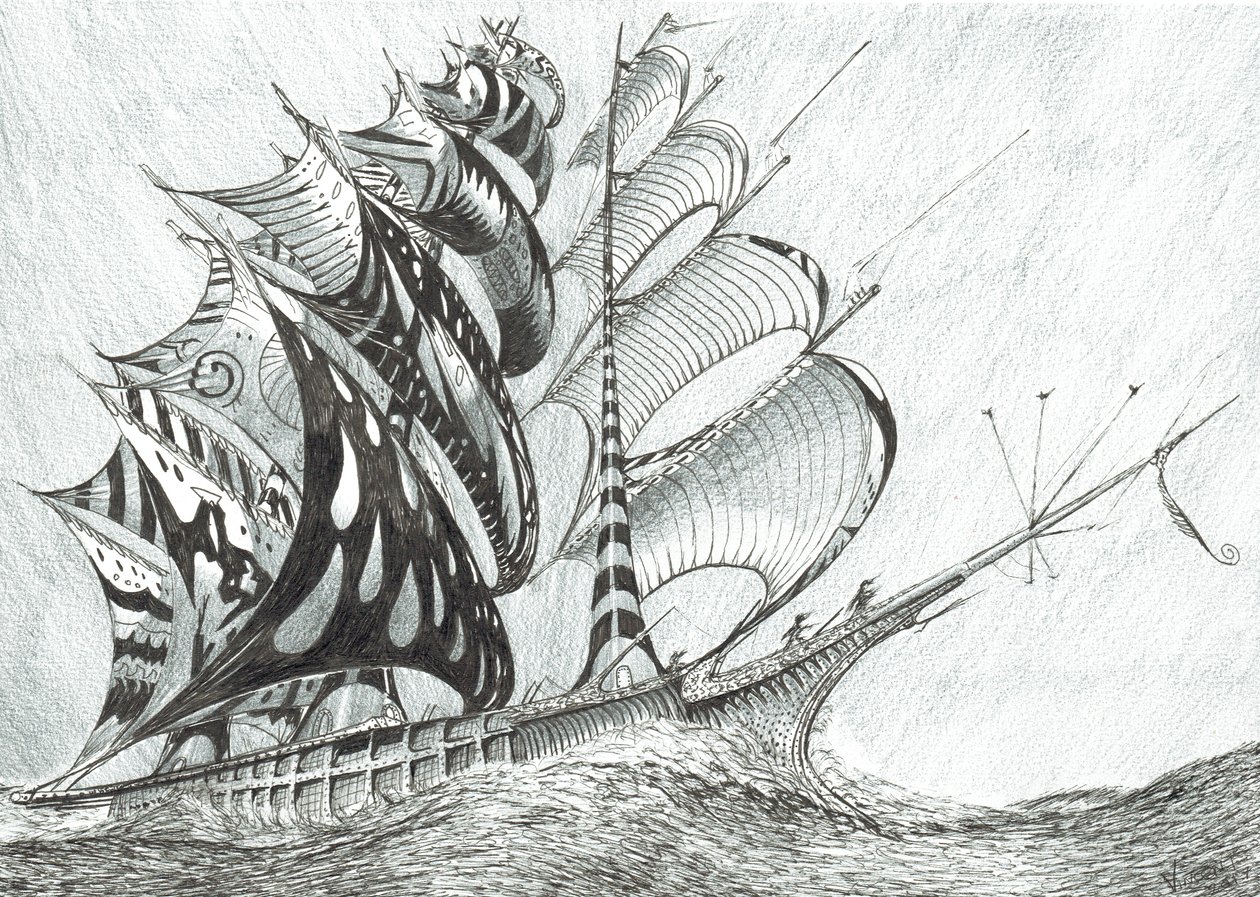风暴造物主加勒比海，2017年，（纸上墨水） 作者 文森特·亚历山大·布斯