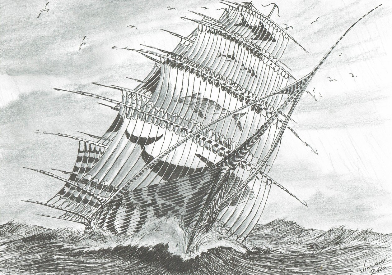 Storm Creators Garabogazkol Lake Sea, 2020 作者 文森特·亚历山大·布斯