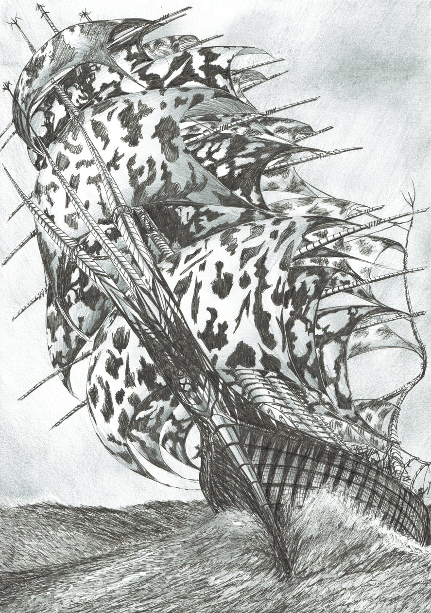 风暴造物主北海，2017年，（纸上墨水） 作者 文森特·亚历山大·布斯