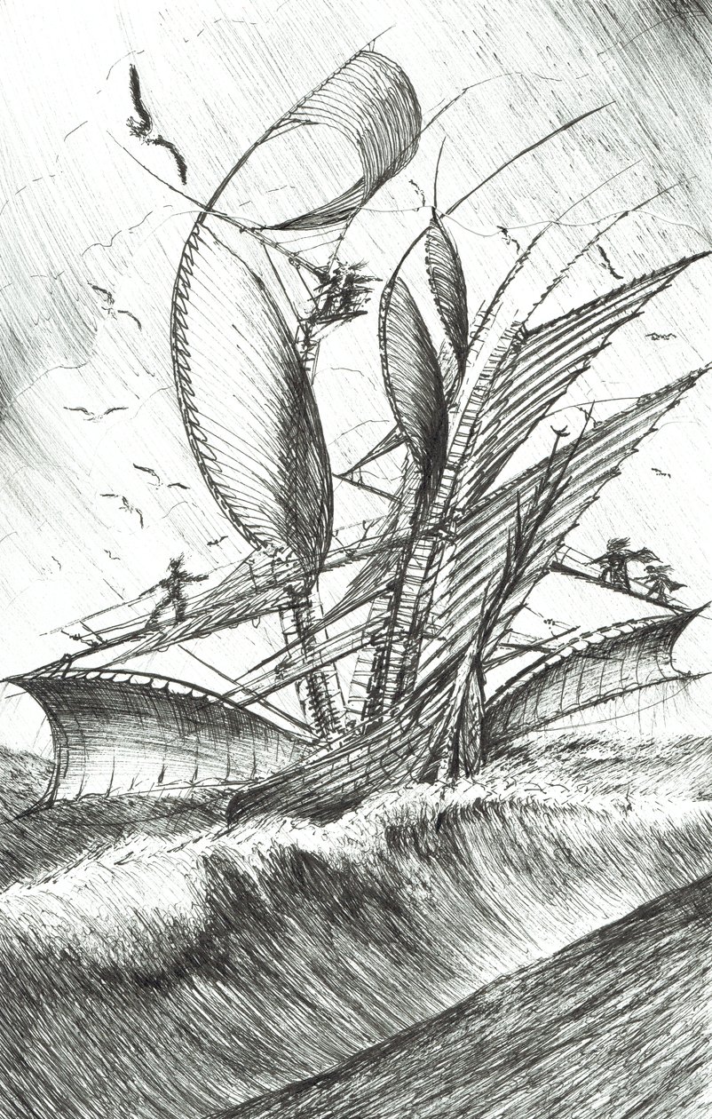 风暴造物主太平洋，2017年，（纸上墨水） 作者 文森特·亚历山大·布斯