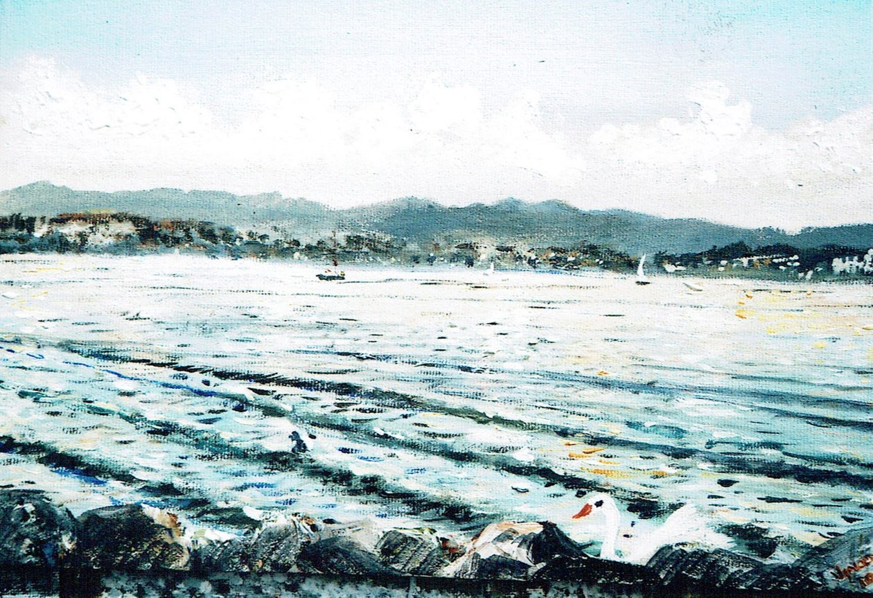 Swan on lake, 2010 作者 文森特·亚历山大·布斯